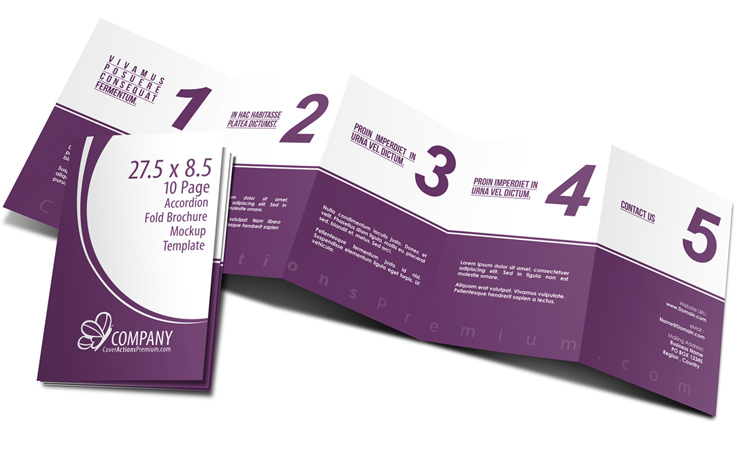 5 panel concertina Fold Brochure Mockup Template - 5.5 x 8.5