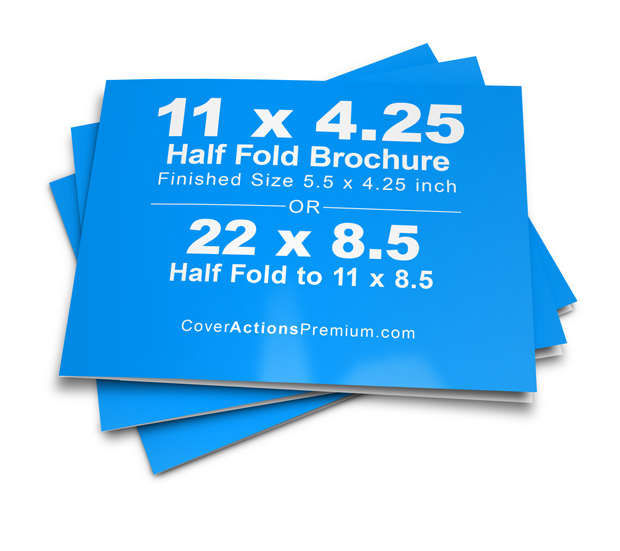 11 x 4.25 half fold Brochure Mockup
