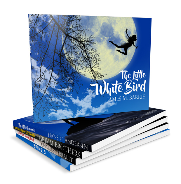 Landscape Book Set Mockup Template -9x7