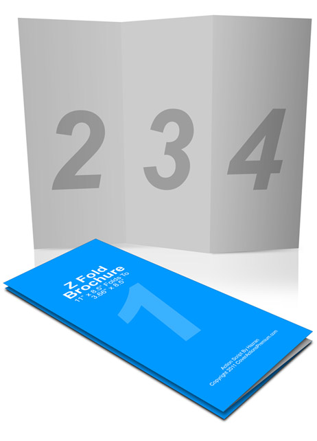 Z-Fold Brochure mockup