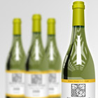 Champagne bottle Mock Up action script