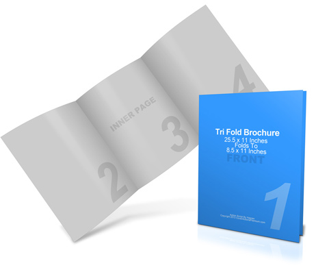 25x11 Tri Fold Brochure Mockup