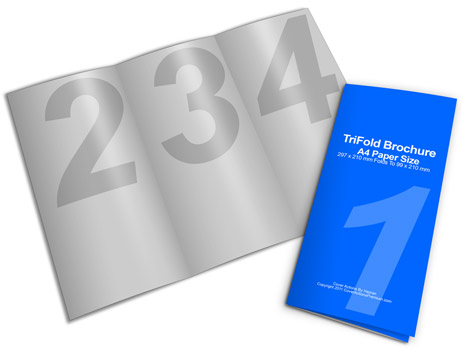 A4 Tri Fold Brochure Mockup